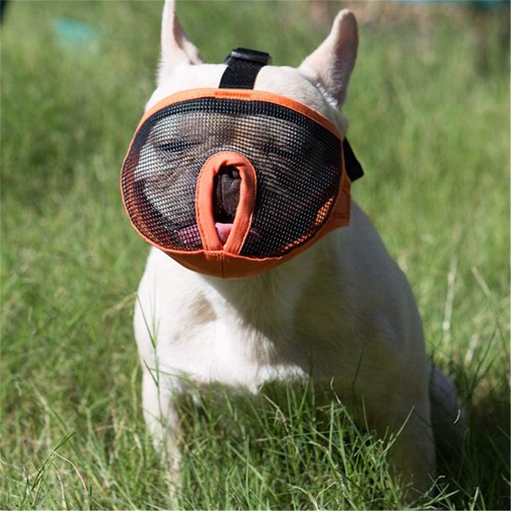 Bozal Para Perros Braquicéfalos Talla M